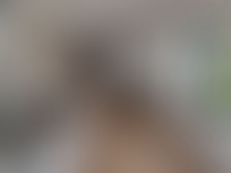 RG Energies emménage dans ses nouveaux bureaux !