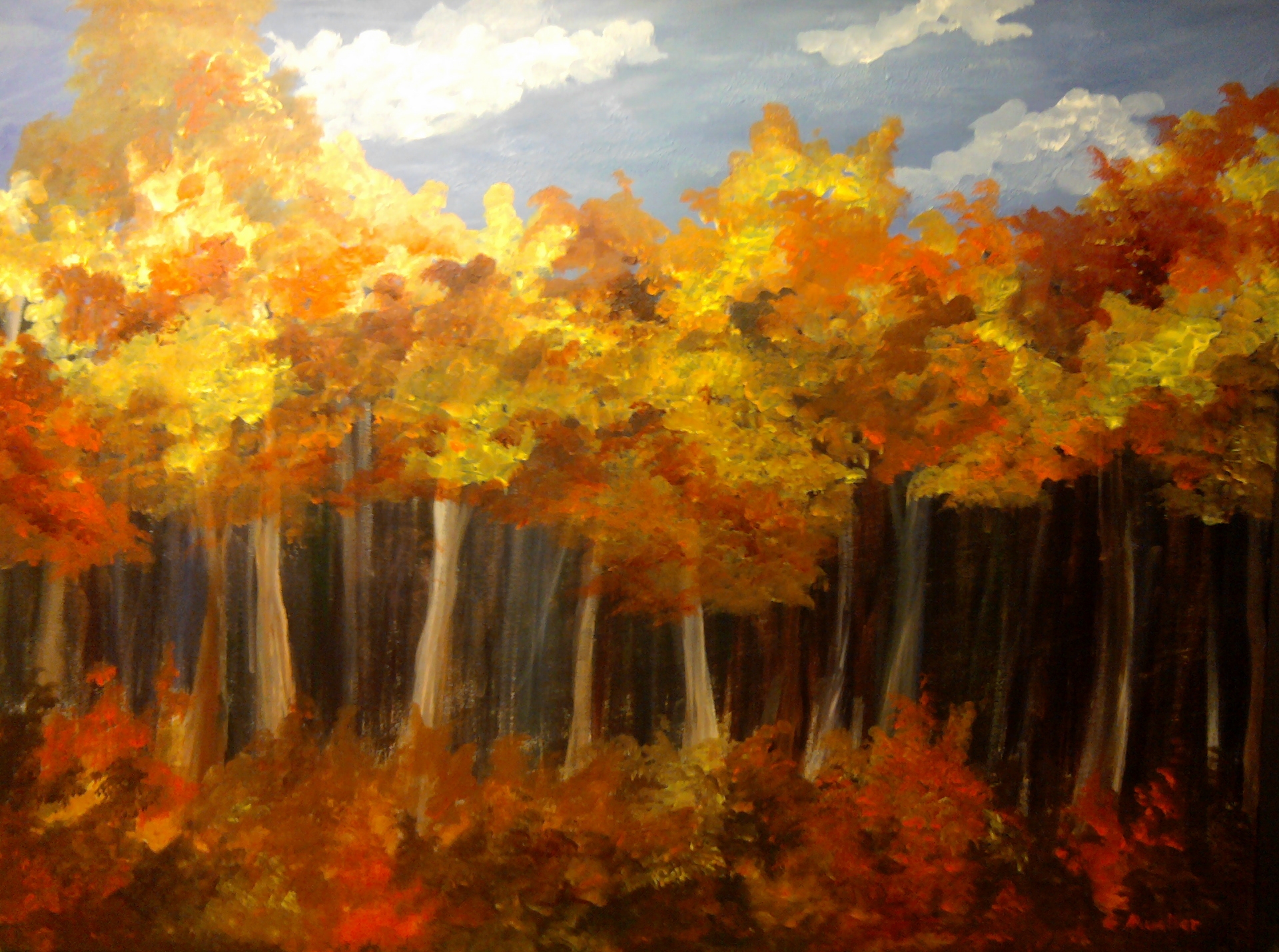 Autumn Impressions
