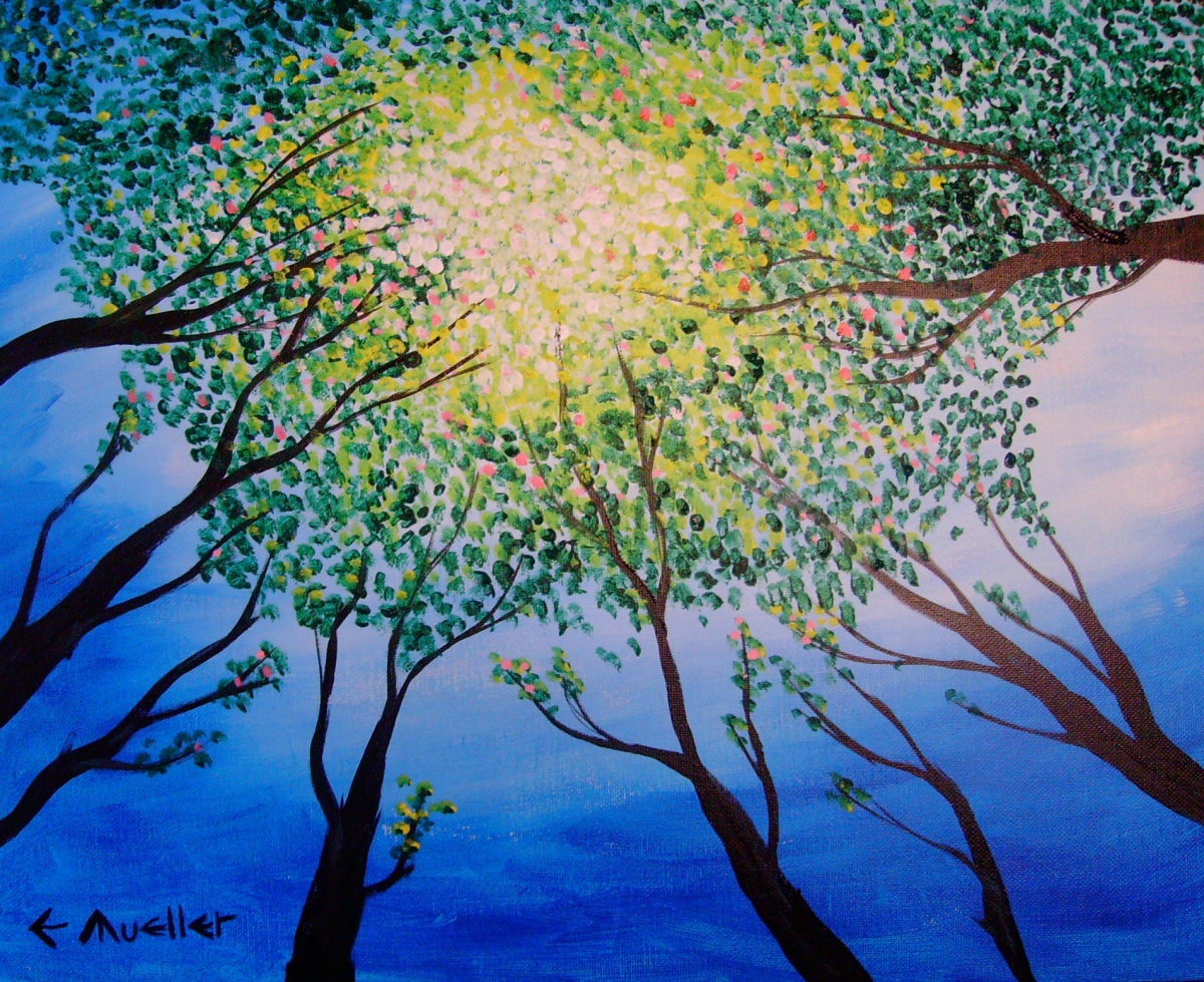 Spring Sunlight