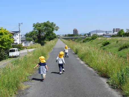 5月のおもいで🌱 福岡県 飯塚市 堀池 飯塚ママー保育園