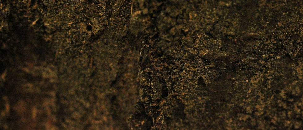 levelled 10.jpg