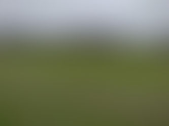 SIL Senior: Sporting 87 2-1 Halesworth Town