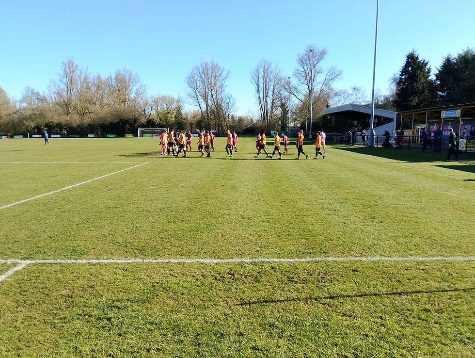 Thurlow Nunn Premier: Stowmarket Town 1-2 Thetford Town
