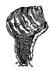 Helge Griem - Linoldruck