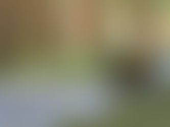 Bible Thought from Psalm 42