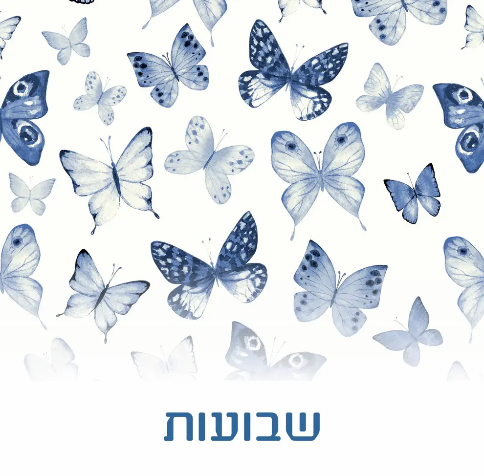 Shavous Butterflies Paper Place Mat (24 Count)