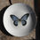 Miniatura: Platos postre ORO MARIPOSAS x 6 unidades