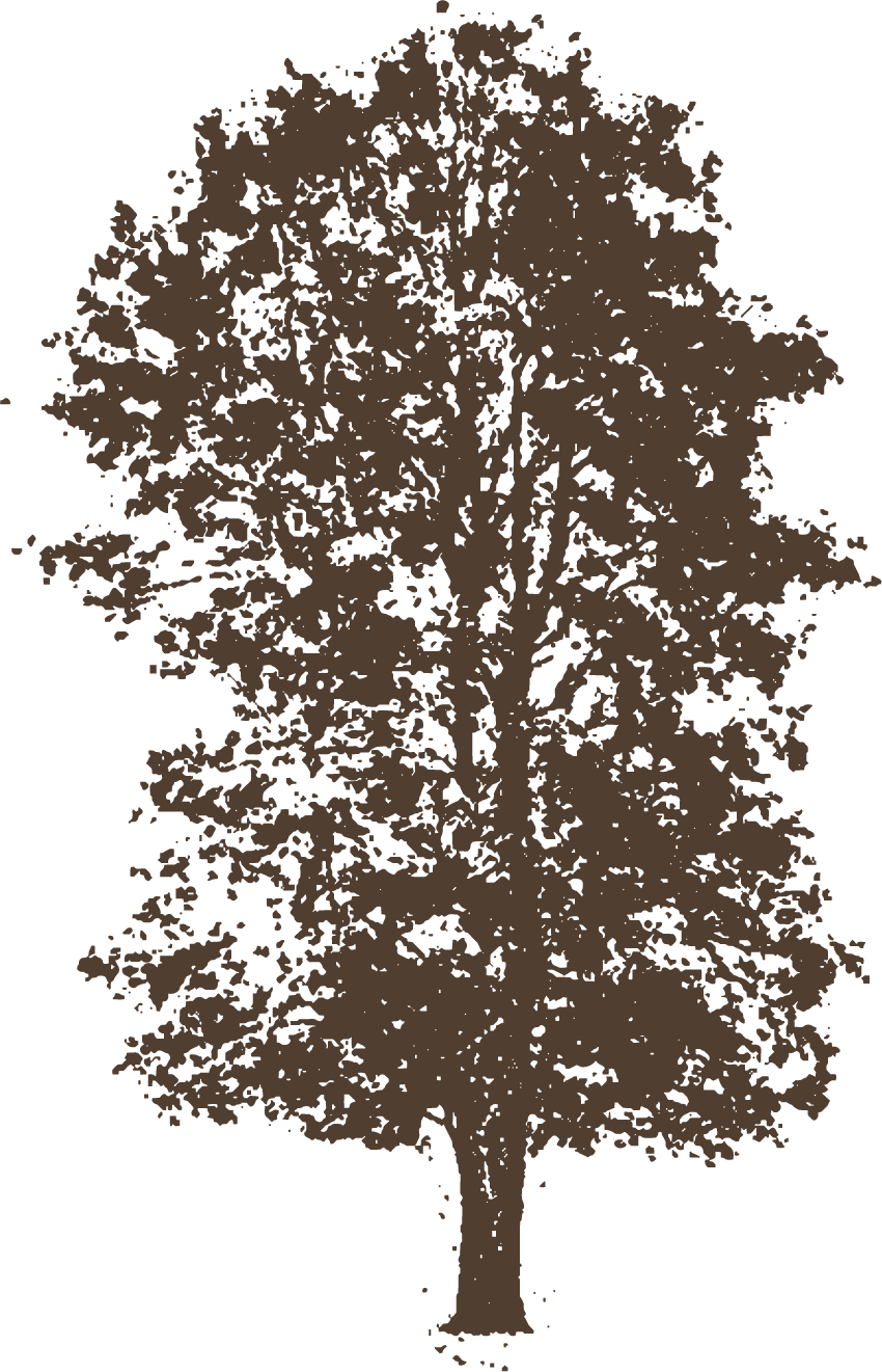 Tree icon
