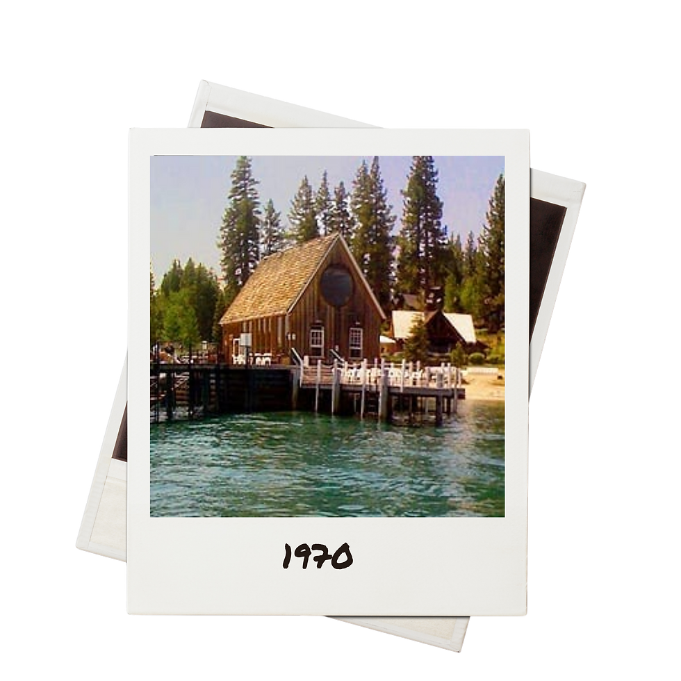Vintage-style polaroid photos of Lake Tahoe cabin exterior surrounded by pine trees at The Homewood Collective Stays
