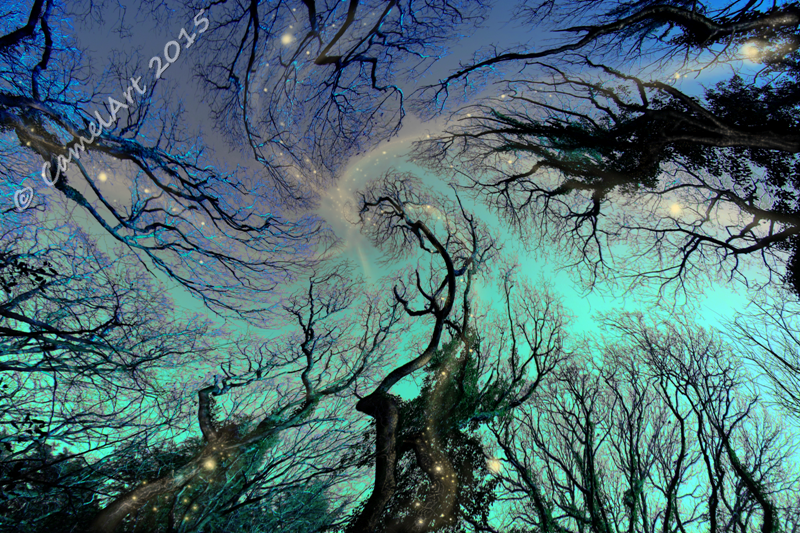 Dreaming Trees - Original