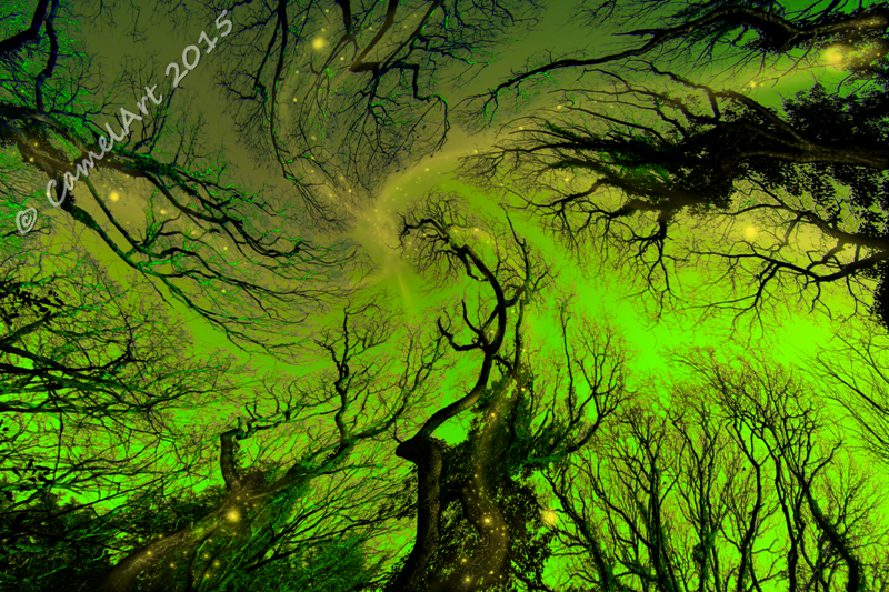 Dreaming Trees - vivid green