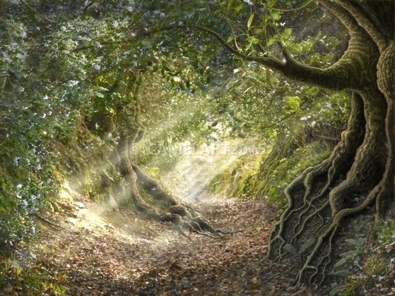 The Way Home