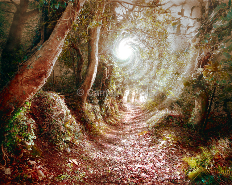 Guiding Light