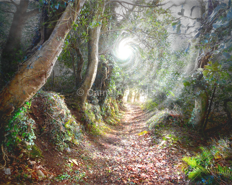 Guiding Light