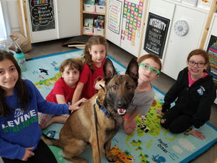 Are Personal Protection Dogs Safe for Families