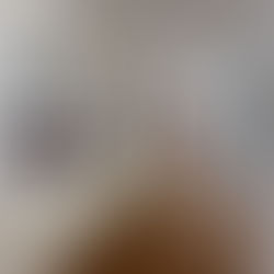 Las primeras flores; una esencia primaveral.