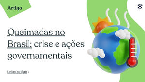 Queimadas no Brasil: crise e ações governamentais