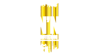 Logo Skin'Néo Blanc.png