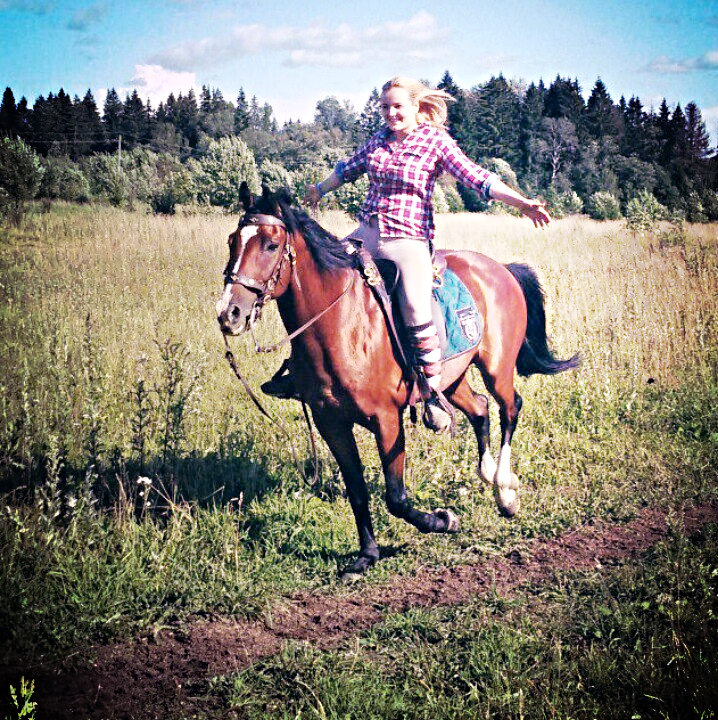 ковбои ездили на лошадях породы аппалуза. одомашненная лошадь. жизнь на коне. мужчина верхом на лошади. парень обнимает лошадь.