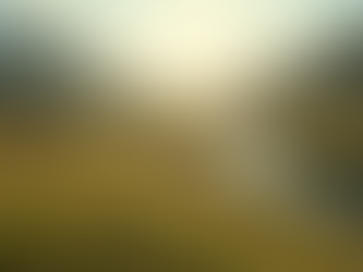 A Compassionate Guide for Those Rebuilding After Loss