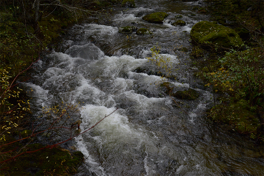 opalcreek01.gif