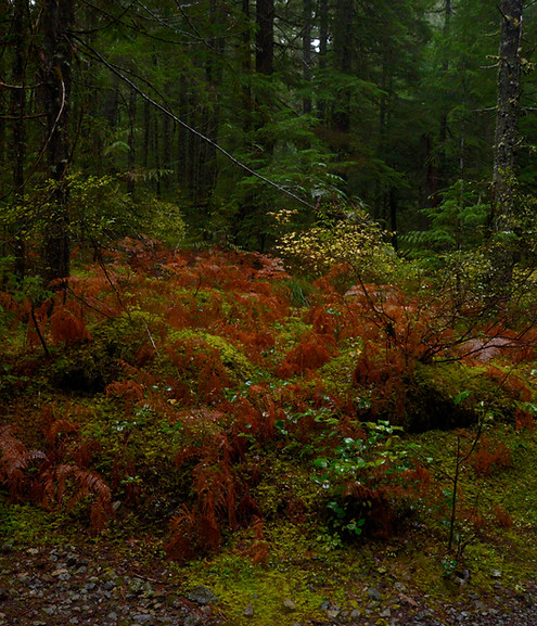 _DSC9265_edited.jpg