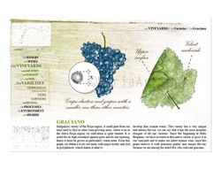 Infographics7_©MARIA_ARTIENZ