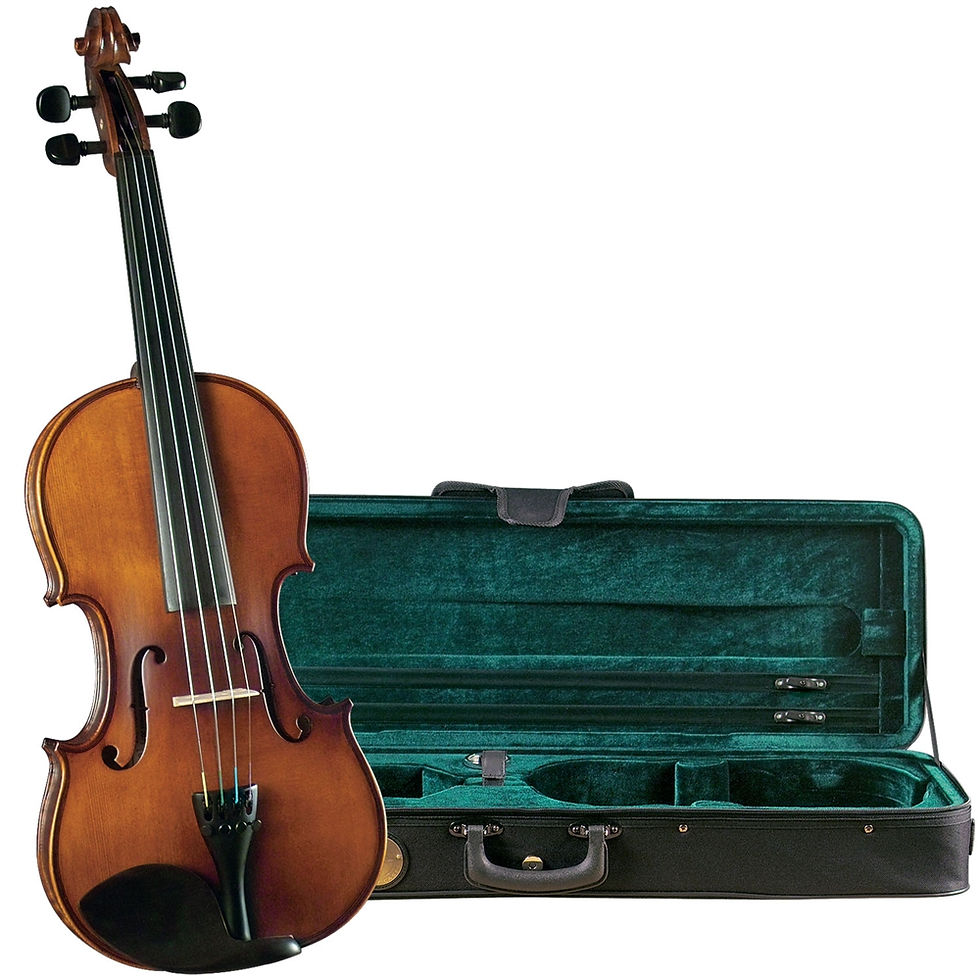 VIOLIN Serie Premier Student