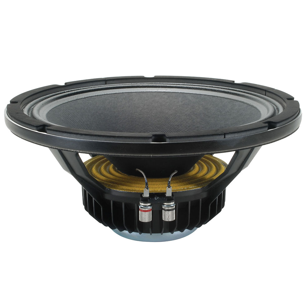 PARLANTE PARA AUDIO 12"