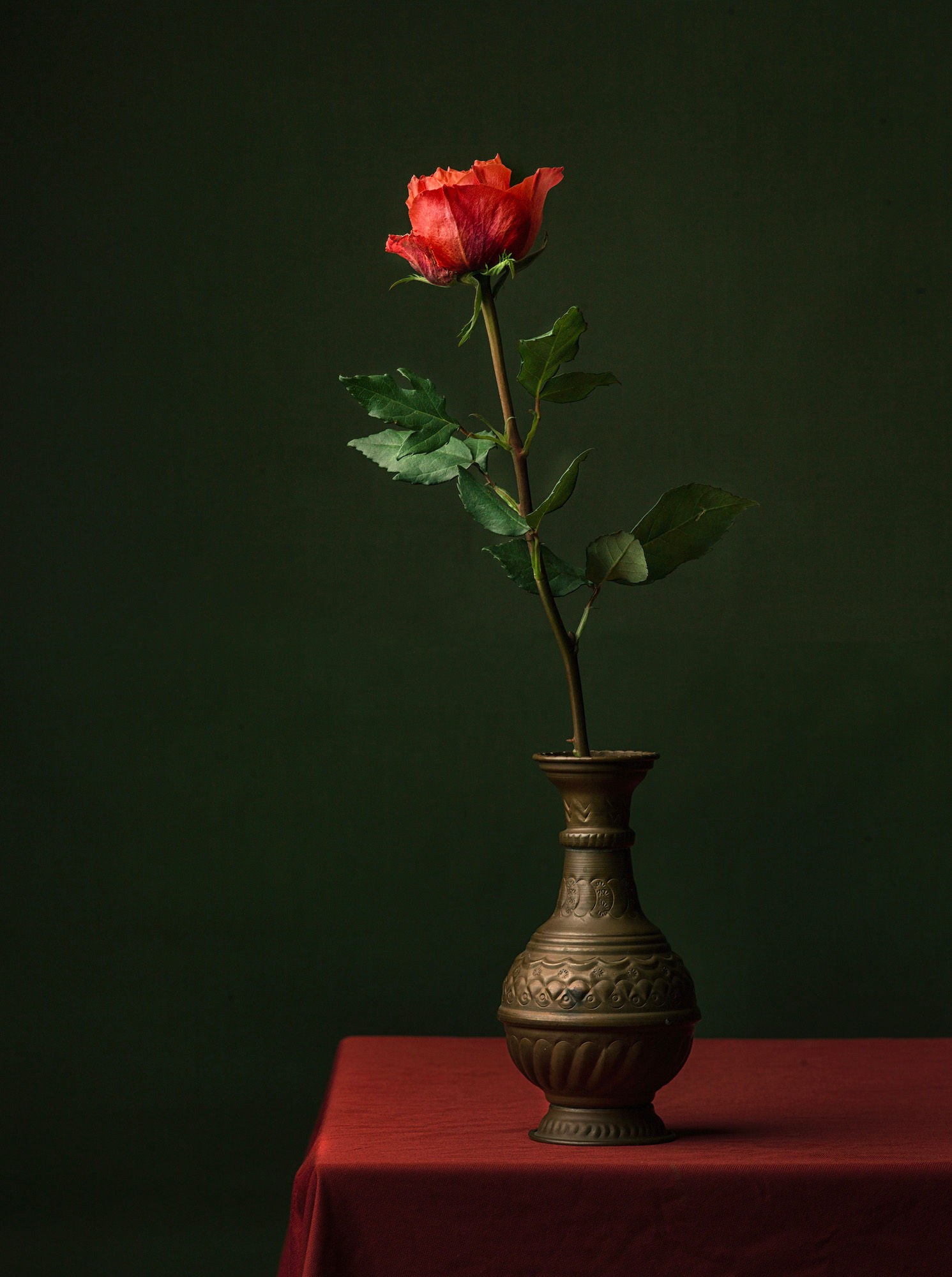 Tessa Posthuma de Boer / 30x22 cm