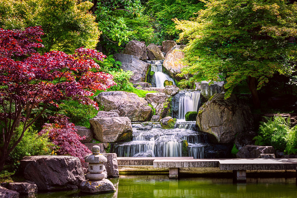 Lush Kyota garden with a waterfall cascading over rocks, surrounded by vibrant green and red foliage. Stone lantern beside calm pond with Koi fish. Serene mood.
