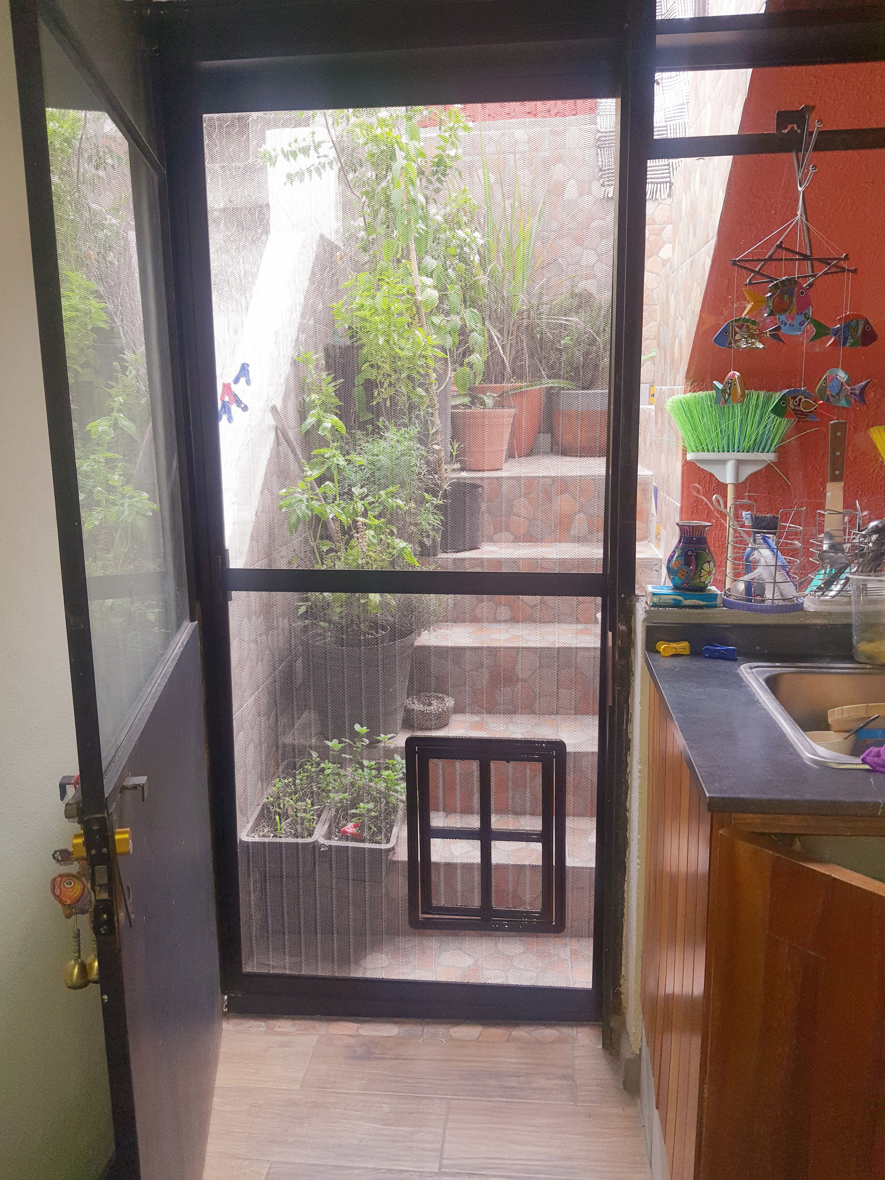 Mosquitero Pet Friendly