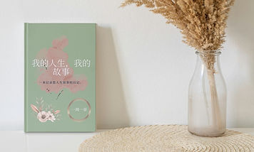 Book cover in Chinese