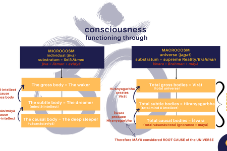 Macrocosm microcosm.png