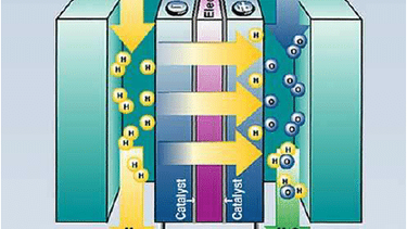 Exploring the Principles and Applications of PEM fuel cell