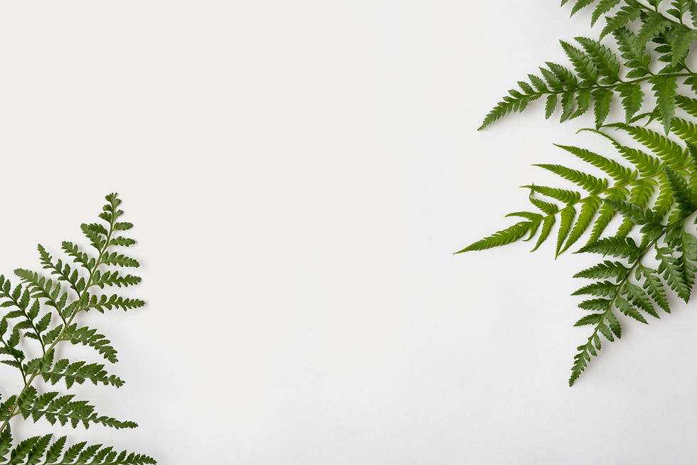 top-view-foliage-leafs-with-copy-space.jpg