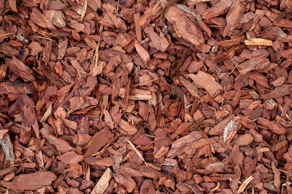 texture-filling-mulching-brown-plants-form-tree-bark.jpg