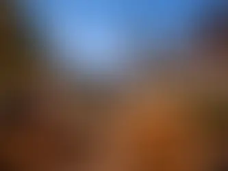 Beer Garden Riga Old Town for Great Nights