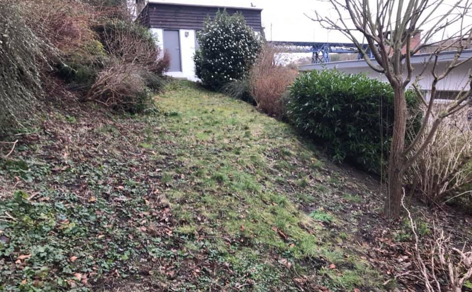 alpel1.jpg
