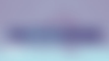 What is a Toro cigar?