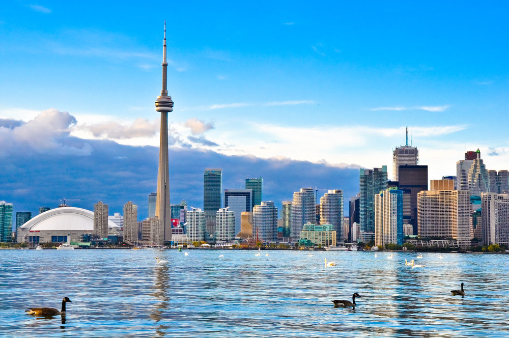 Half Day or Full Day City Tour