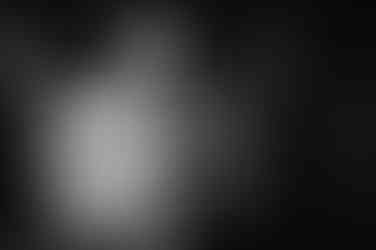 Elopement at Millaa Millaa Waterfalls is an unforgettable experience.