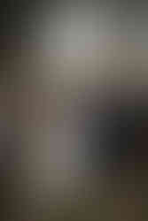 A Beautiful Wedding at Malanda Lodge, Atherton | Jesse + Glenn