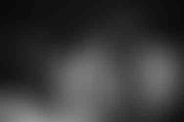 Elopement at Millaa Millaa Waterfalls is an unforgettable experience.