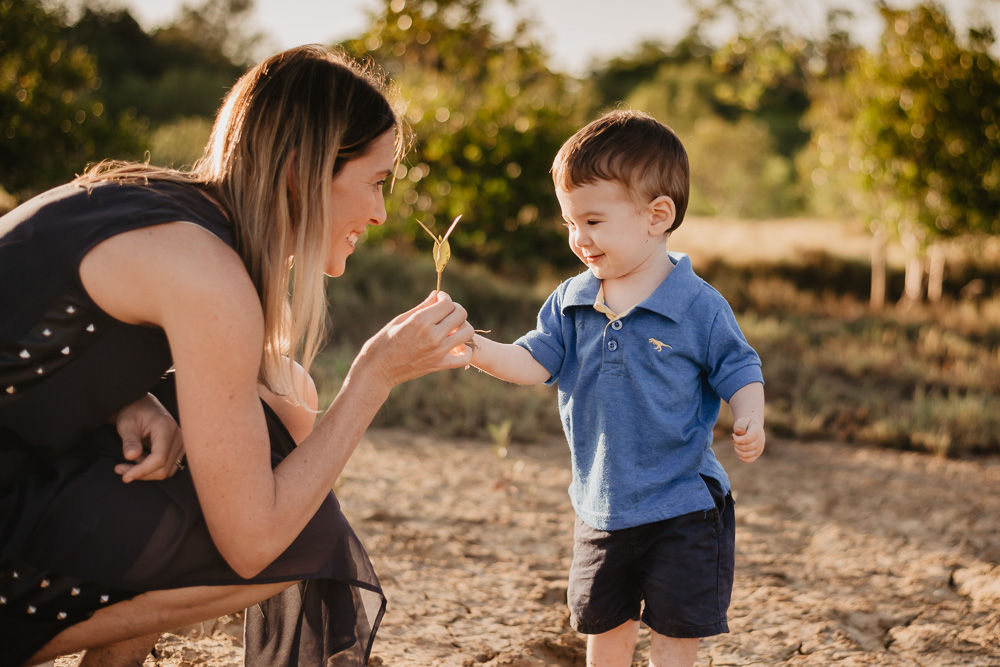 Cairns Wedding Photography and videography