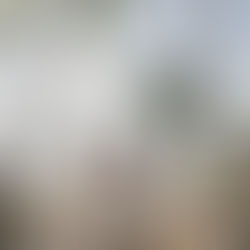 Deciding on a Wedding Date: A Guide for Cairns and Port Douglas Celebrations