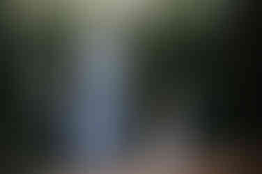 Elopement at Millaa Millaa Waterfalls is an unforgettable experience.