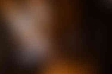 Elopement at Millaa Millaa Waterfalls is an unforgettable experience.