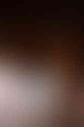 Elopement at Millaa Millaa Waterfalls is an unforgettable experience.