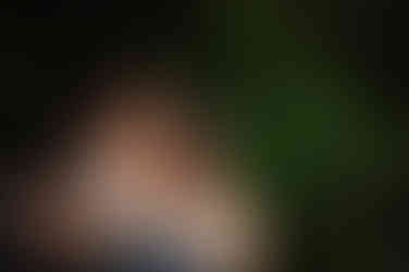 Intimate Wedding in beautiful Fitzroy Island